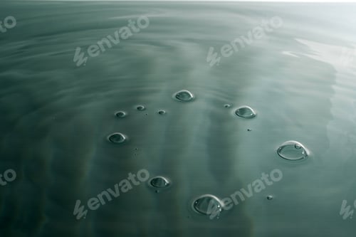 Preview: Bubbles on the surface of green water