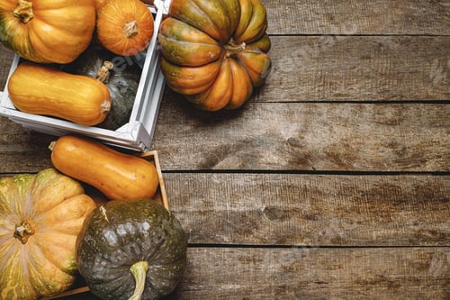 Preview: Pile of pumpkins in wooden box on wooden board