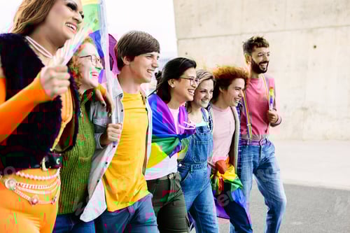 Preview: Diverse group of homosexual people celebrating gay pride festival