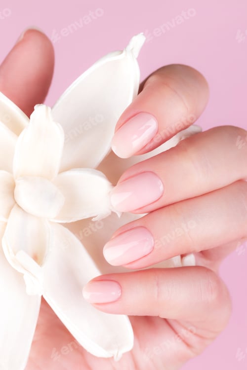 Preview: Female hand with natural nude nails and flower