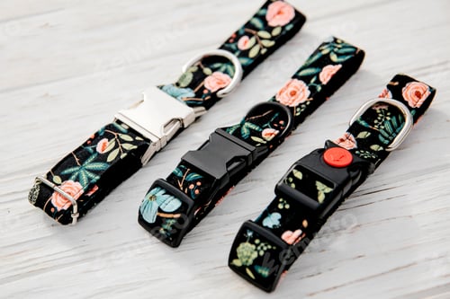 Preview: Stylish, bright and comfortable collar from pet shop for obedient dog, cat or other pets and domesti