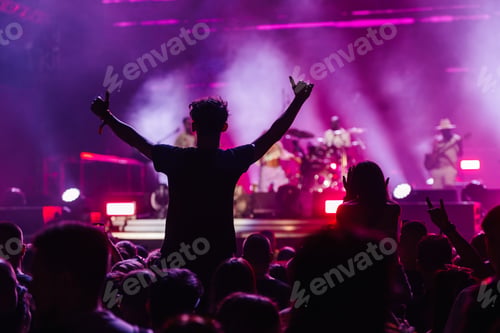 Preview: Energetic fans reveling in a live concert experience
