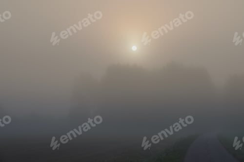 Preview: Sun shines through thick fog in Tuusula in Finland.