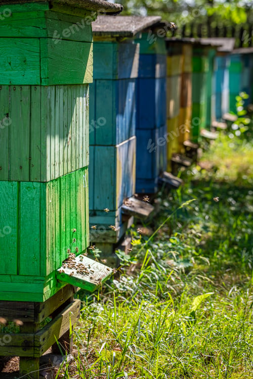 Preview: Cool beehives in a rural settlement. Natural and ecological beekeeping.