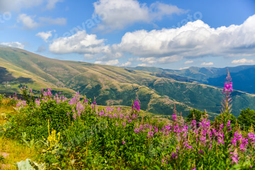 Preview: Mountain landscape in summer time