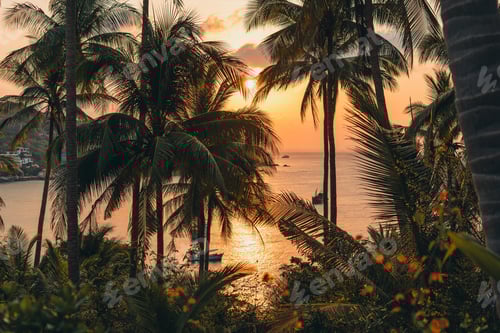 Preview: Palm trees and morning sun on the island