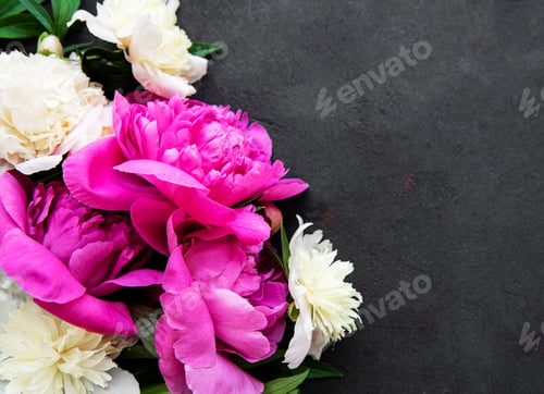 Preview: Peony flowers