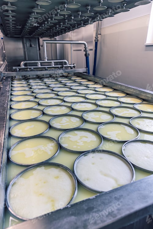Preview: Cheese factory equipment