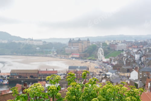 Preview: Scarborough South Bay Beach