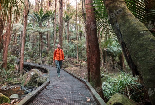 Preview: Tramping