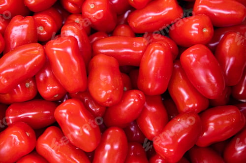 Preview: Macro of many shiny long red freshly-harvested tomatoes, aerial view, abstract backdrop.
