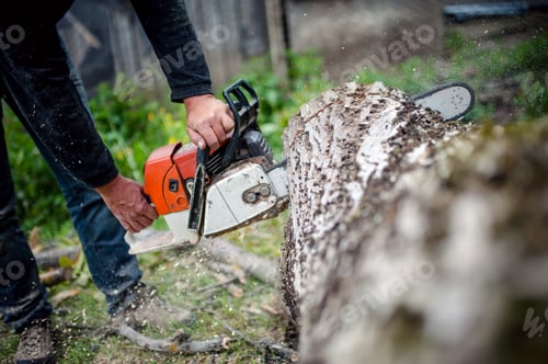 Preview: man with gasoline powered chainsaw cutting fire wood from trees