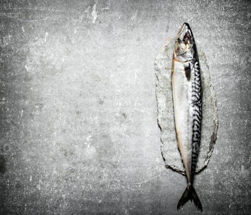Preview: Raw fish mackerel