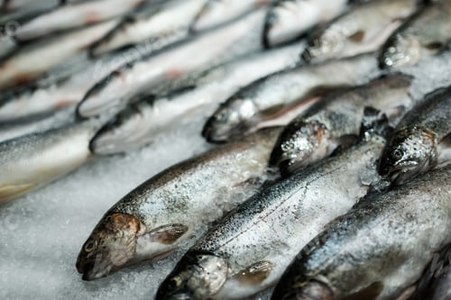 Preview: Fresh fish in market