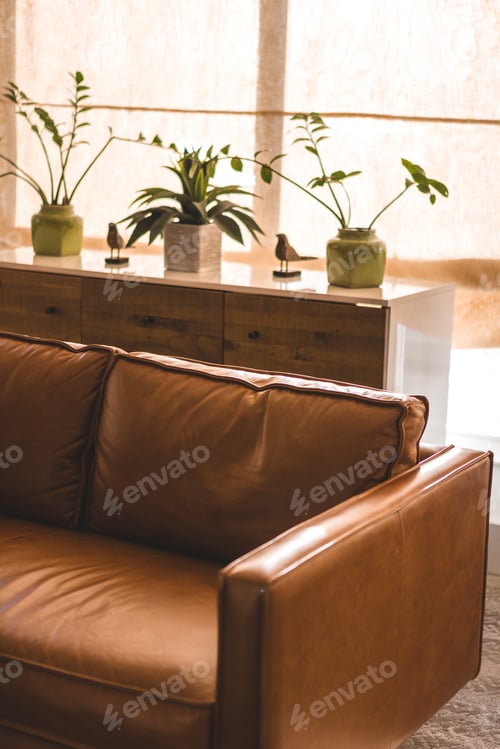 Preview: Couch and Dresser