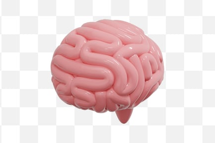 Preview: Brain Anatomy 3D Icon