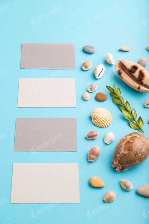 Preview: Composition with gray paper business cards, seashells, green boxwood. mockup on blue pastel