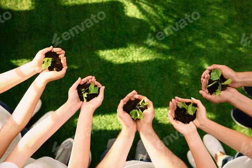 Preview: Group of volunteers holding soil with sprouts in hands outdoors, top view. Space for text