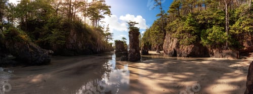 Preview: Sandy beach on Pacific Ocean Coast View. Sunny Blue Sky. San Josef Bay, Cape Scott Provincial Park