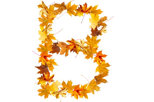 Preview: Letter made out of autumnal forest Leaves