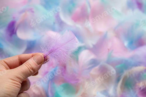 Preview: beautiful multicolored feathers texture background. selective focus.