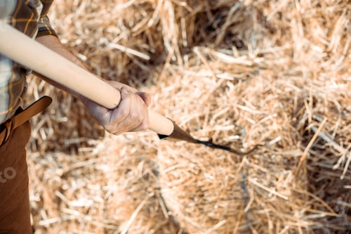 Preview: cropped view of senior man holding rake near hay