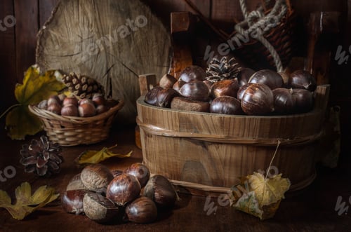 Preview: ripe chestnuts