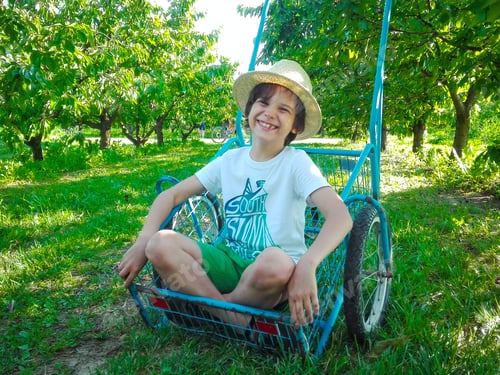 Preview: Kids Summer Fun. Young boy have a rest in the garden on sunny day in summers.