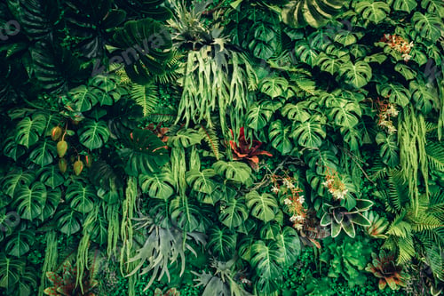 Preview: Group of background tropical green leaves texture. Natural green wallpaper and background.