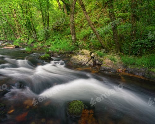 Preview: A mountain stream undulates its waters between mossy boulders and native forests