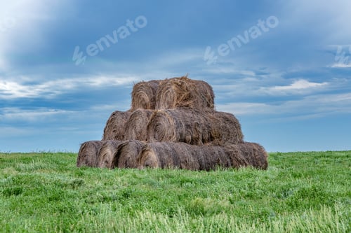 Preview: Hay bales on grassy farmland