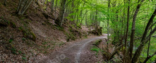 Preview: walkway