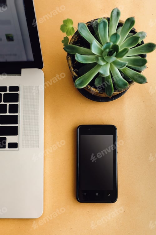 Preview: stylish silver laptop pen phone and succulent