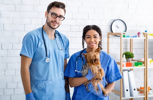 Preview: Portrait of happy veterinarian doctors with little dog at animal clinic