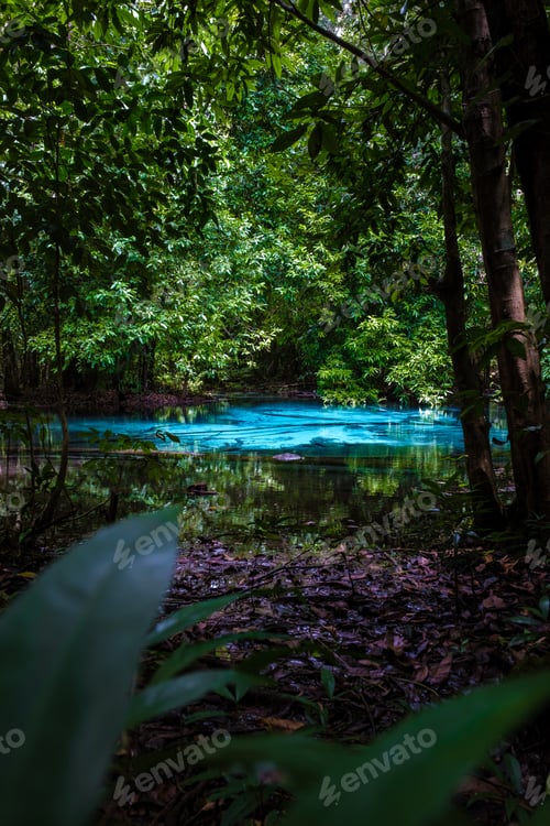 Preview: Emerald lake and Blue pool Krabi Thailand mangrove forest Krabi Thailand.