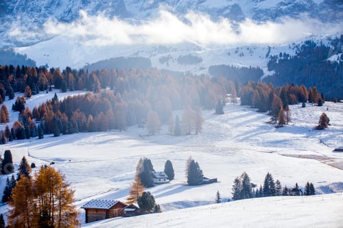 Preview: Beautiful Winter and Holiday background for Christmas with larch trees and snow.