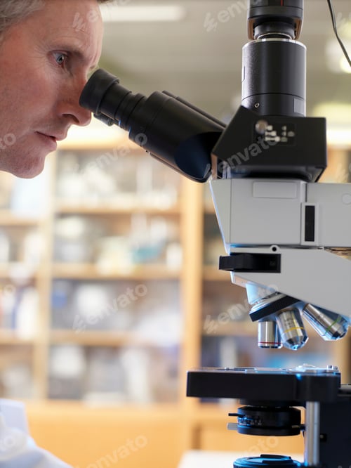 Preview: Laboratory scientist viewing slide with upright compound microscope