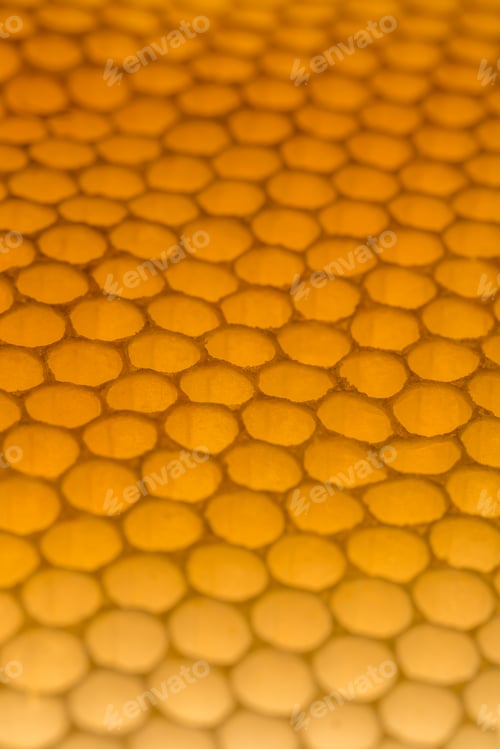 Preview: Honeycomb