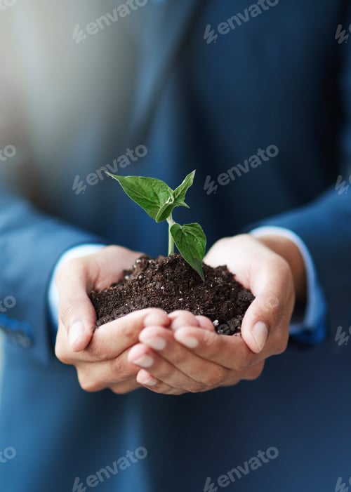 Preview: New beginnings. Cropped shot of a businessman holding a plant growing in soil.