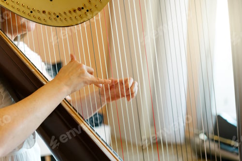 Preview: Hands of a professional harpist playing a traditional harp.