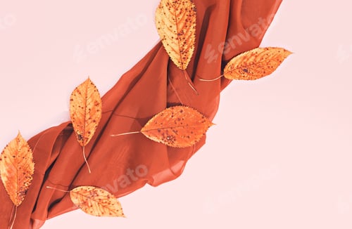 Preview: Autumn brown colours