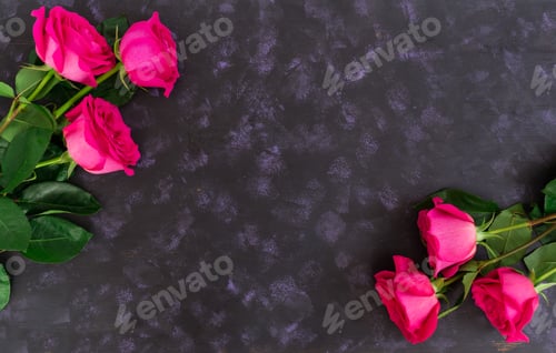 Preview: Bouquet of pink roses on dark background. Top view