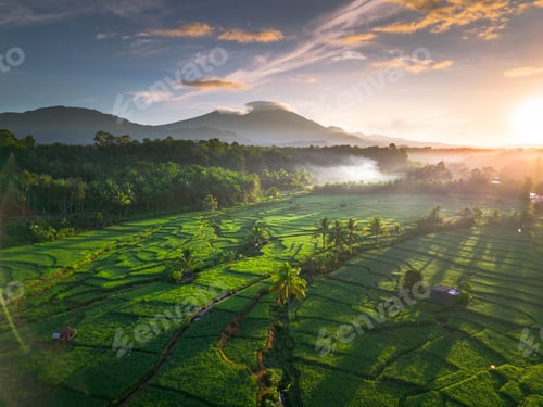 Preview: Beautiful morning view in Indonesia, panoramic landscape of rice fields with mountain ranges