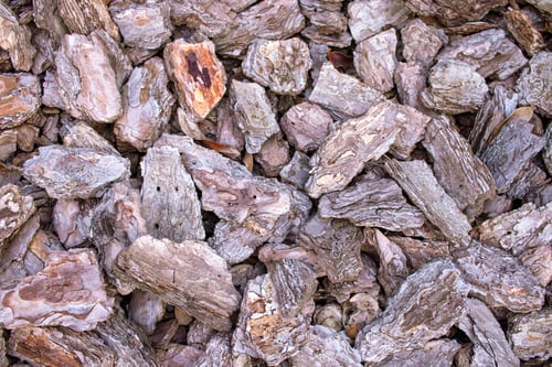 Preview: Wood chips background. Pieces of wood texture