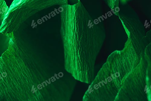 Visualização: Fragmento de papel crepom verde. Fotografia macro