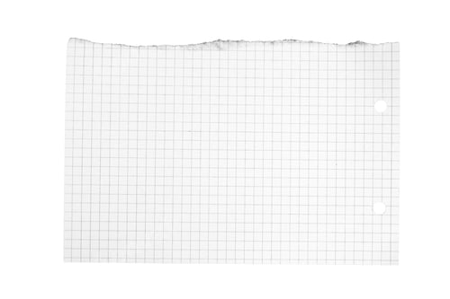 Preview: torn paper ripped corner texture page