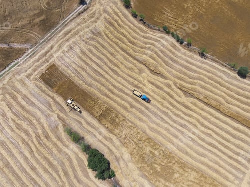 Preview: Aerial drone view of a yellow combine harvester and a blue tractor harvesting in a cereal field.