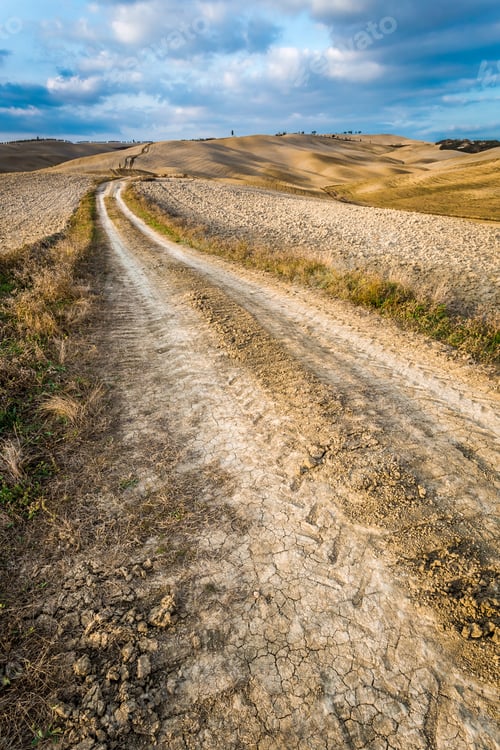 Preview: Autumn Country Road in Tuscany in Italy