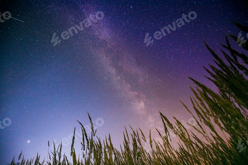 Preview: Bottom view of night starry sky from green grass in summer season. Night stars above meadow in