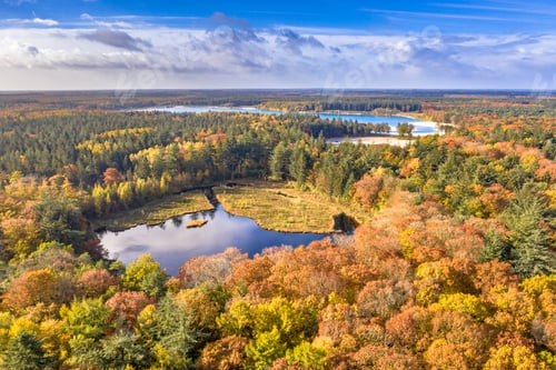 Preview: Aerial view of lakes in autumnal forest